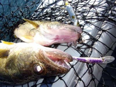 Charter Fishing - 16-13c.JPG