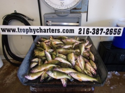 Charter Fishing - 16-20d.JPG
